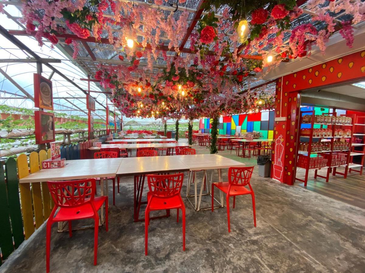 Aiza Homestay Opposite Abang Strawberry Taman Sedia Tanah Rata Dış mekan fotoğraf