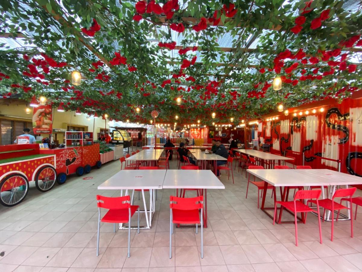 Aiza Homestay Opposite Abang Strawberry Taman Sedia Tanah Rata Dış mekan fotoğraf
