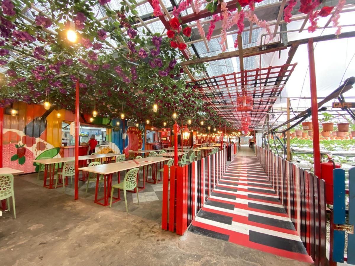 Aiza Homestay Opposite Abang Strawberry Taman Sedia Tanah Rata Dış mekan fotoğraf