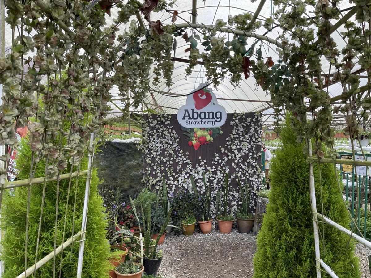 Aiza Homestay Opposite Abang Strawberry Taman Sedia Tanah Rata Dış mekan fotoğraf